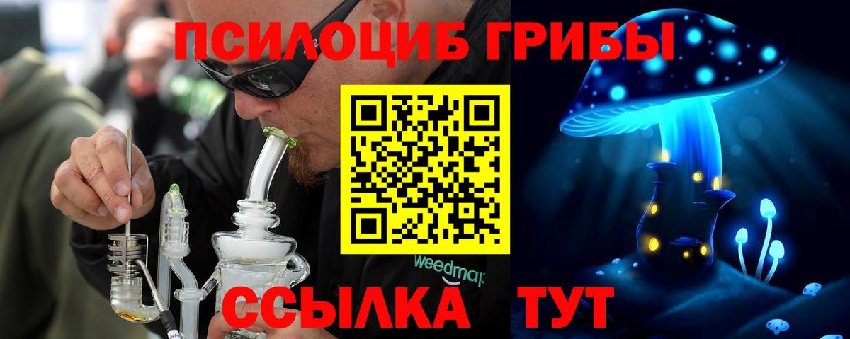 Новый Уренгой  цена   Вход с VPN  Псилоцибиновые грибы Psilocybe 